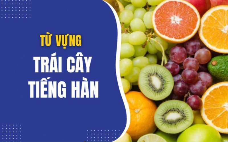 Từ vựng tiếng Hàn chuyên ngành thực phẩm