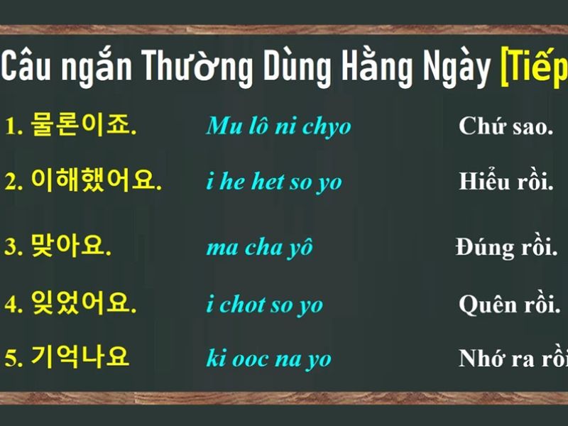  câu giao tiếp tiếng Hàn cơ bản hàng ngày