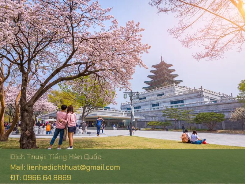 Cập nhật chính sách du học Hàn Quốc 2025 chi tiết cập nhật chính sách du học Hàn Quốc 2025