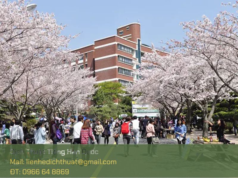 Cập nhật chính sách du học Hàn Quốc 2025 chi tiết cập nhật chính sách du học Hàn Quốc 2025