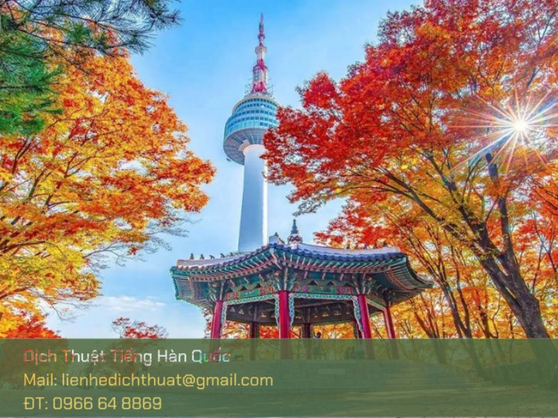 du lịch Hàn Quốc mùa thu 2025