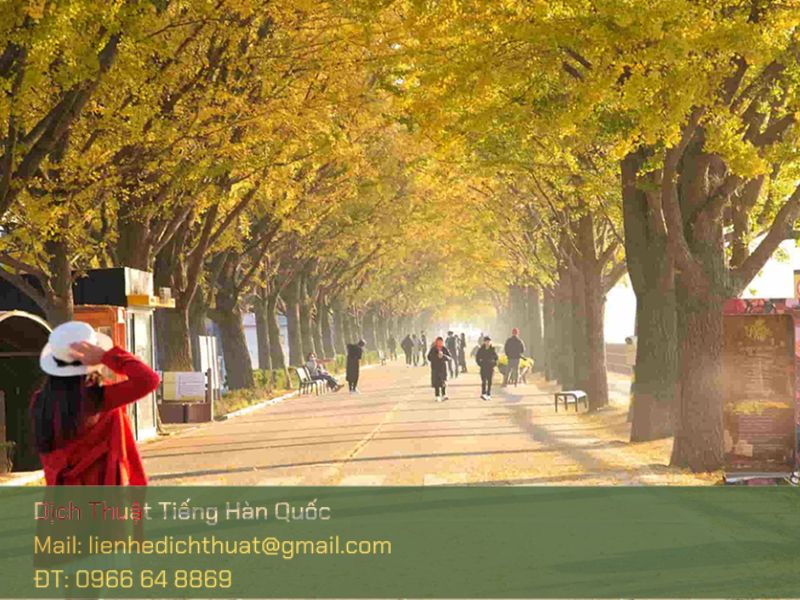 du lịch Hàn Quốc mùa thu 2025