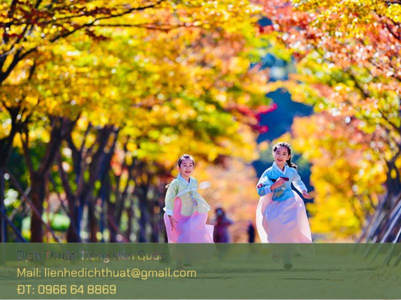 du lịch Hàn Quốc mùa thu 2025