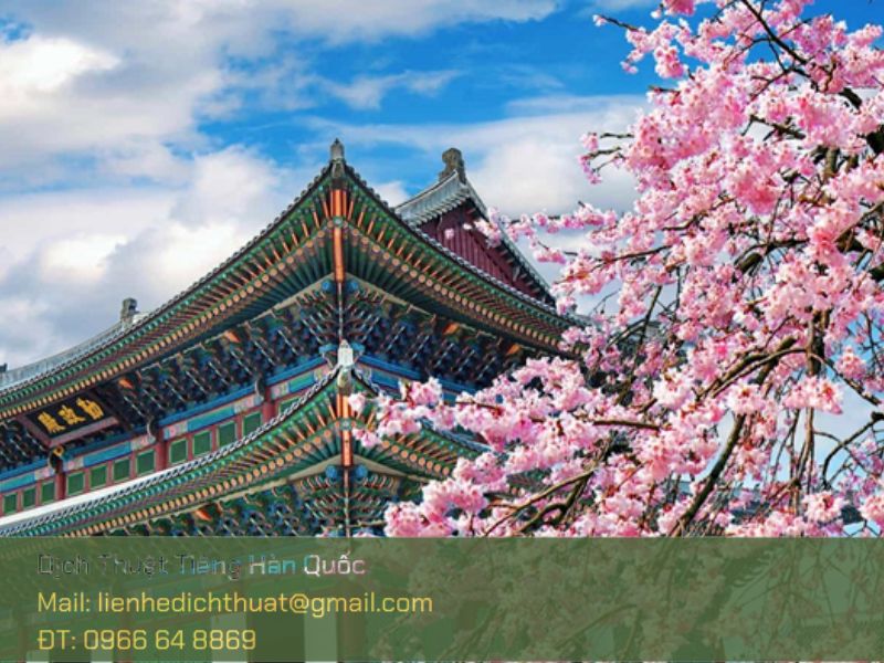 Xu hướng học tiếng Hàn 2025 tại Việt Nam xu hướng học tiếng Hàn 2025