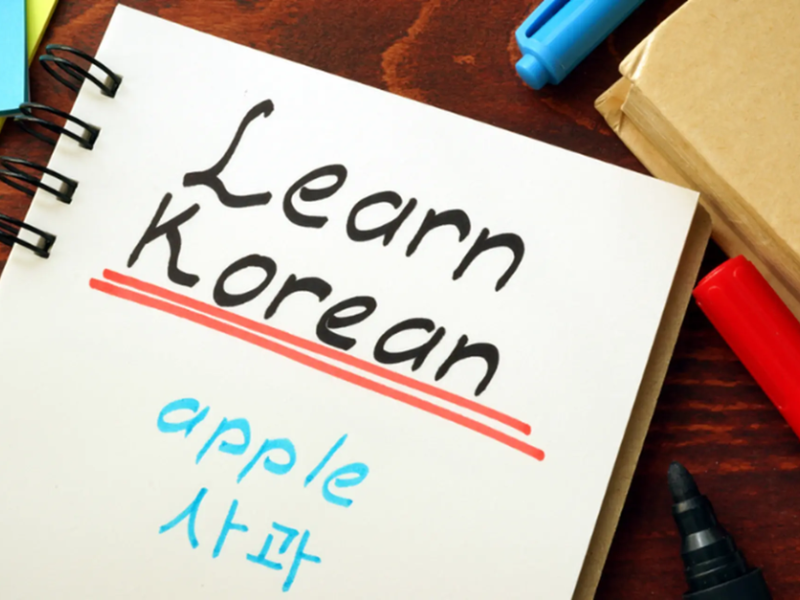 website dịch tiếng hàn